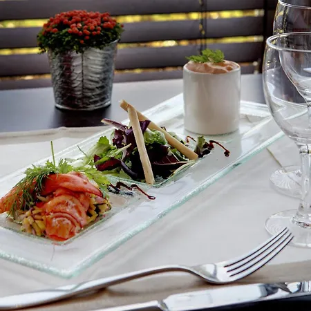 Paris Cdg Airport Hotel 4*