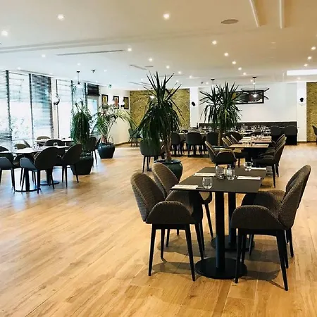 酒店 巴黎戴高乐机场最佳西方酒店