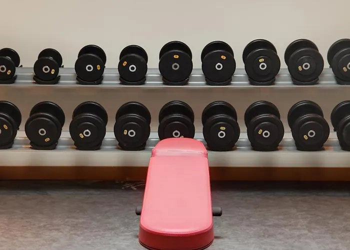 Paris Cdg Airport 4* רואיסי-אן-פרנס