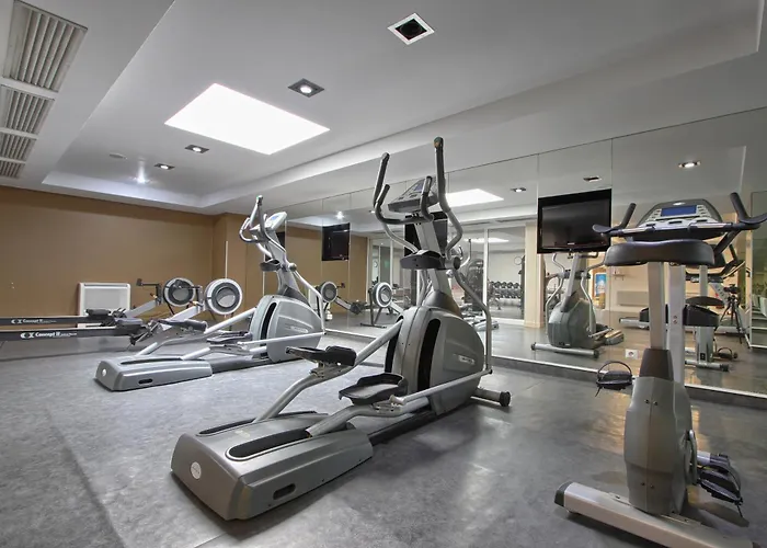 Paris Cdg Airport רואיסי-אן-פרנס